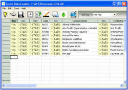 Forms Data Loader screen shot