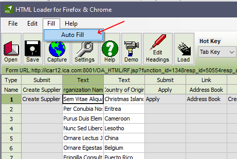 Auto fill in HTML Forms Data Loader