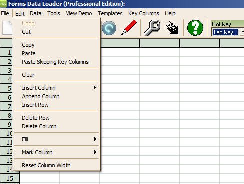 Edit Menu in Data Loader
