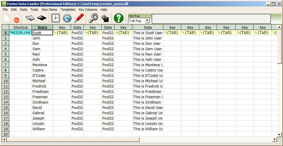 Forms Data Loader Window